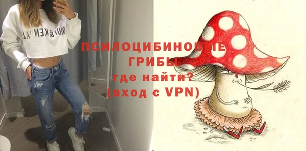 метадон Карпинск