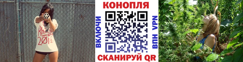 Бошки марихуана сатива  Купить  Ялта 
